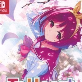 Video Games from Japan
