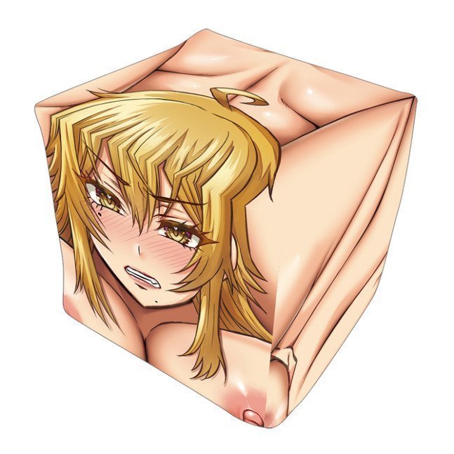 *Clearance Sale* Box-Shaped Insert Air Pillow Cover #3