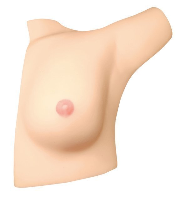 Fetish ~ I Love Oneesan's Armpits