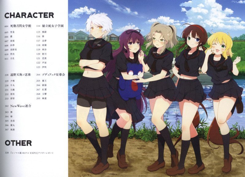 Shinobi Master Senran Kagura NEW LINK ILLUSTRATIONS BOOK【UNDER】