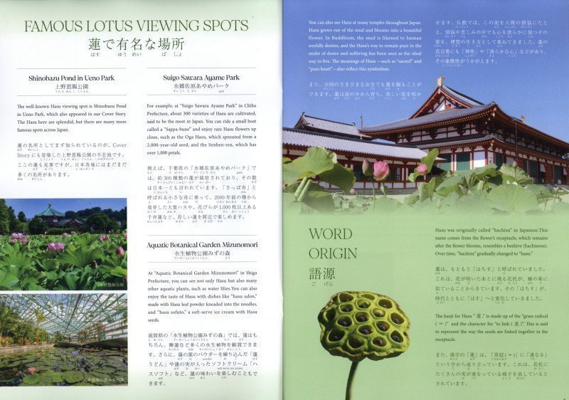 Hiragana Times July 2025 NO. 465
