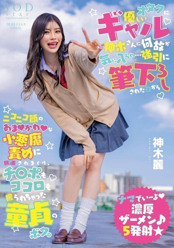 3rd Anniversary Special Best 10 Hours -- Rei Kamiki