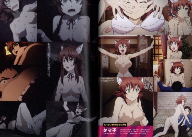 Megami Magazine RX Collection 3