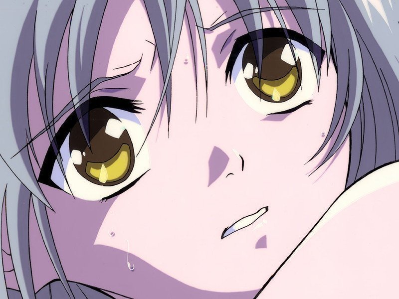 Shin Seiki Inma Seiden: The Legend of the Beast of Lust Blu-ray Archive SET