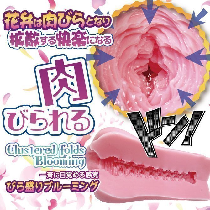 *The Last One Sale* Biramori Blooming