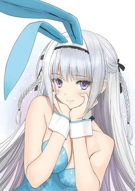 Usagi Mania -- Bunny Festival