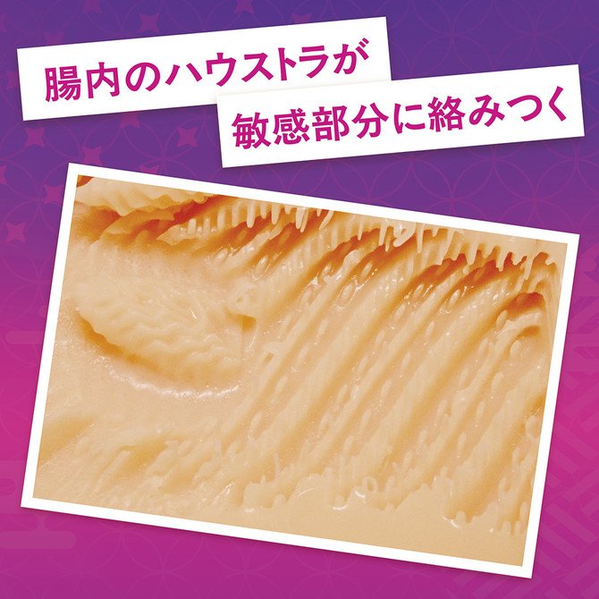 Koto Tenryuji's Anal ~ Kanojo Saimin (Hypnosis Girlfriend)  ~ Limited Edition with Acrylic Panel
