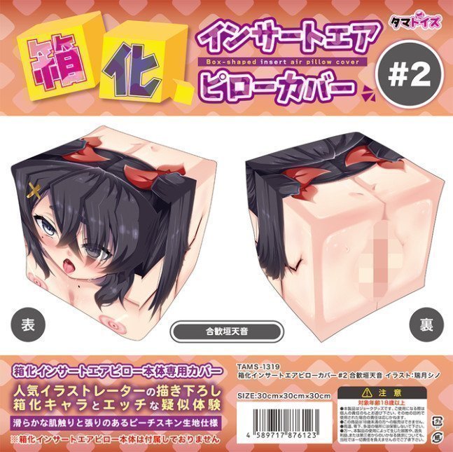 *Clearance Sale* Box-Shaped Insert Air Pillow Cover #2