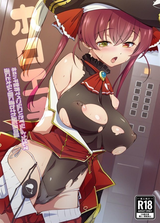 Holo Echi