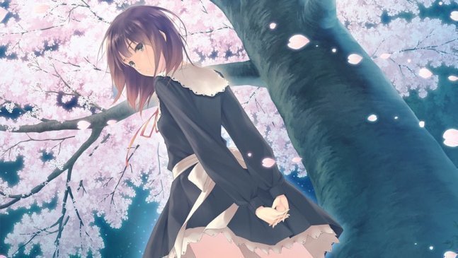Flowers -Le volume sur printemps- Download Edition