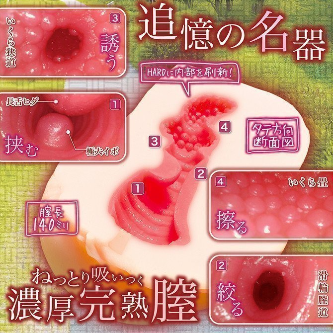 Shishunki Sanctuary Hard -- Sexual Awakening Sanctuary