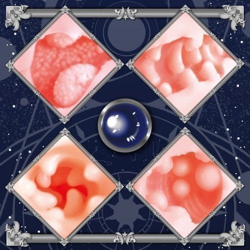 Astrologer Atelier Onahole
