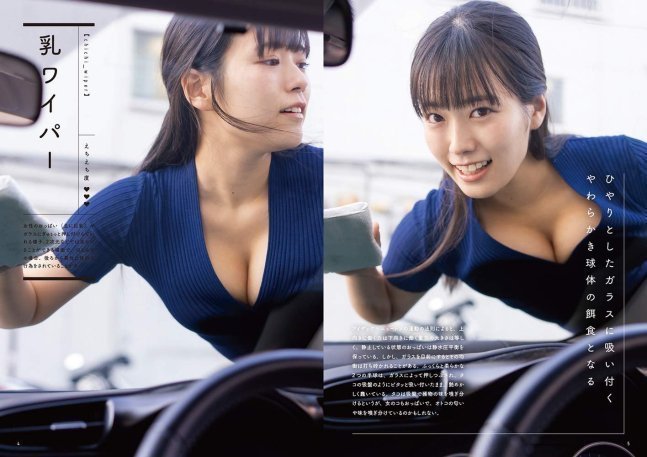 Nayamashii Echi Echi Photo Book