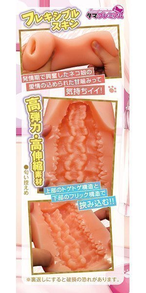 Neko Musume -- Catgirl Pretty H  – TamaPremium