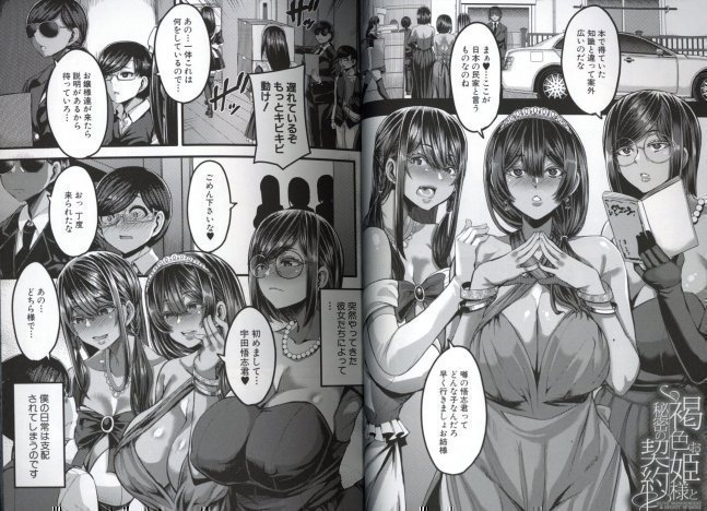 The Brown Princess and The Secret Contract