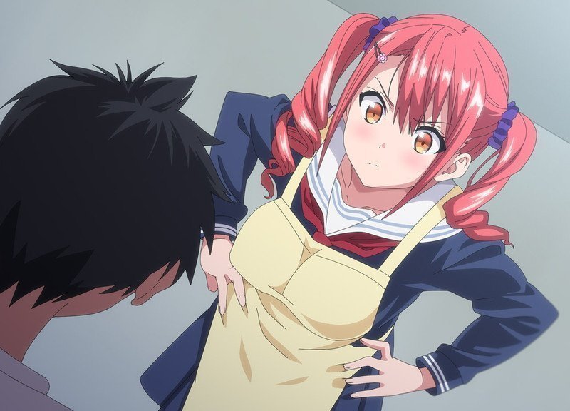 OVA Sister Breeder 1 (Region 2)