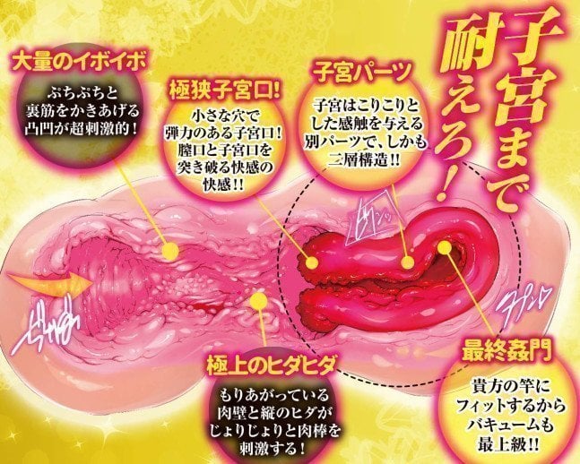 Ultimate Penetration DX Onahole