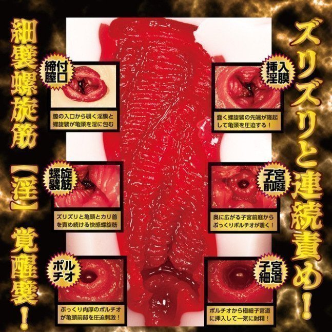 Rima Arai Hole – The Awakening of Great Pussy (Meiki Hole)