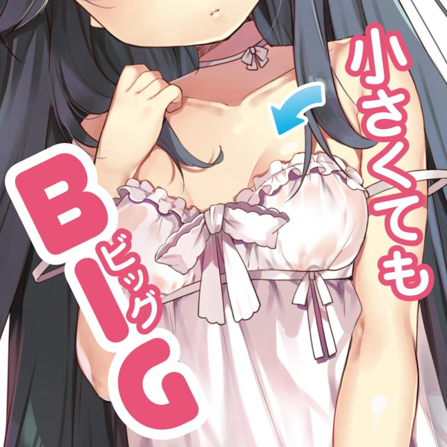 A Taciturn Girl BIG -- Complete Limited Edition (Kuudere Onahole)