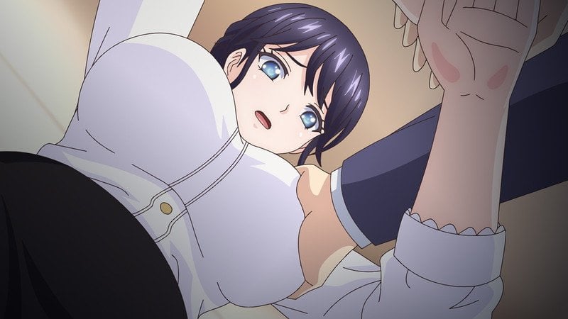 Hamehara: Sore Sekuhara desu!  (Region 2)