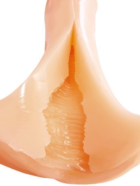 *The Last One* Honey Love Virgin