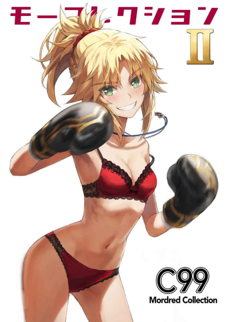 Moo Collection 2 (Mordred Parody Book)