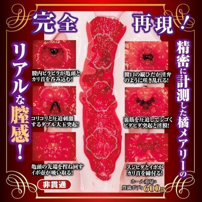 Mary Tachibana's Secret Part Complete Replica