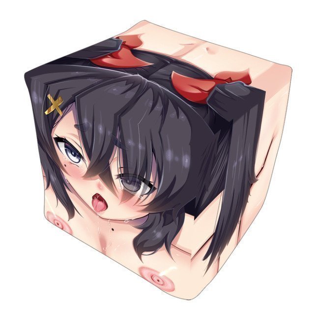 *Clearance Sale* Box-Shaped Insert Air Pillow Cover #2