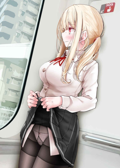 The Girl on the Train Shows Us her Panties 5 -- Tsukin Dochu de Anoko ga Pantsu wo Misetekuru Hon 5