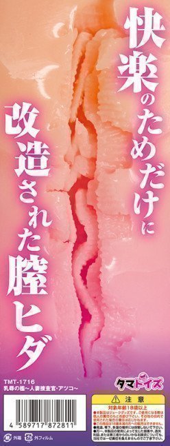 Snared and Defiled -- Agent Atsuko, Married Detective