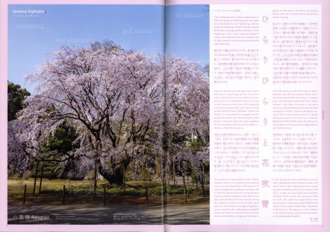 Hiragana Times April 2022 NO. 426