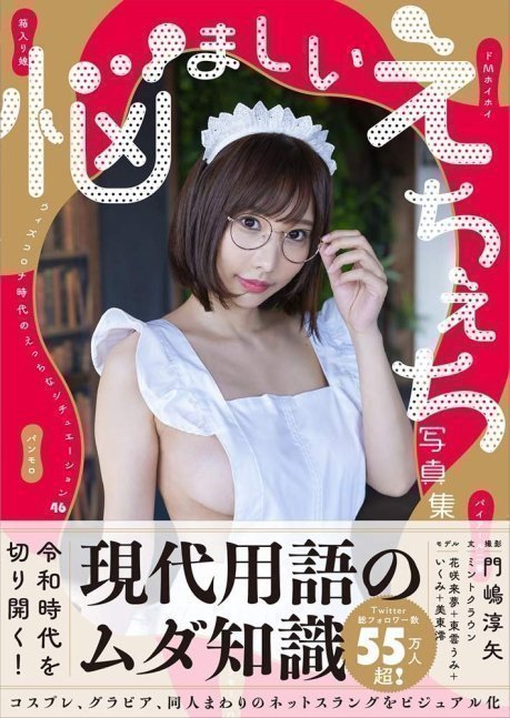 Nayamashii Echi Echi Photo Book