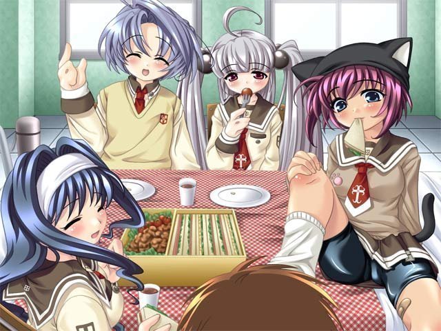 Cat Girl Alliance Download Edition