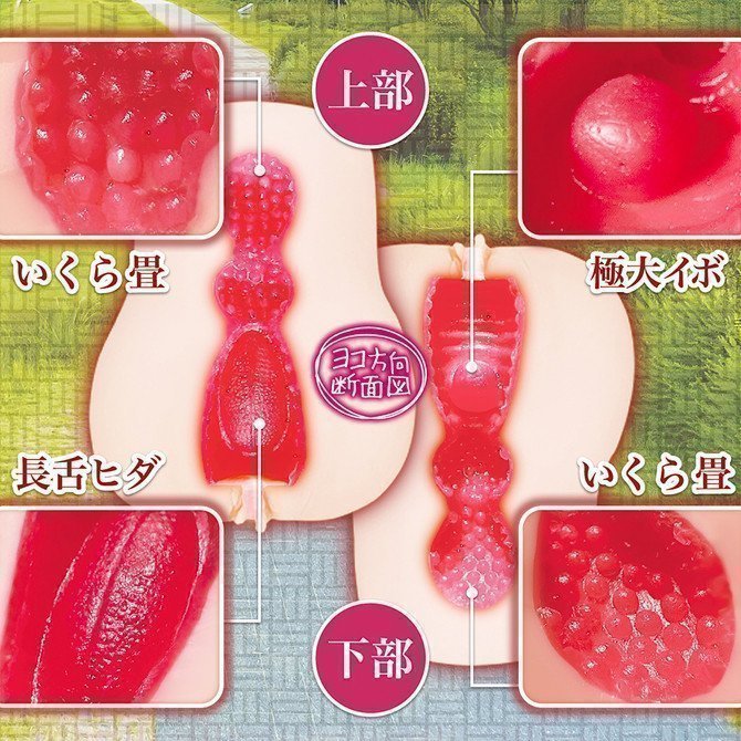 Shishunki Sanctuary Hard -- Sexual Awakening Sanctuary