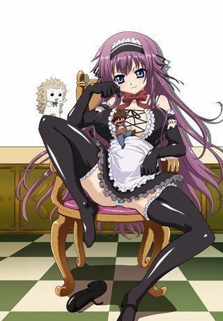 *Best Price* Tsun Tsun Maid wa Ero Ero desu - Complete Edition (Region 2)