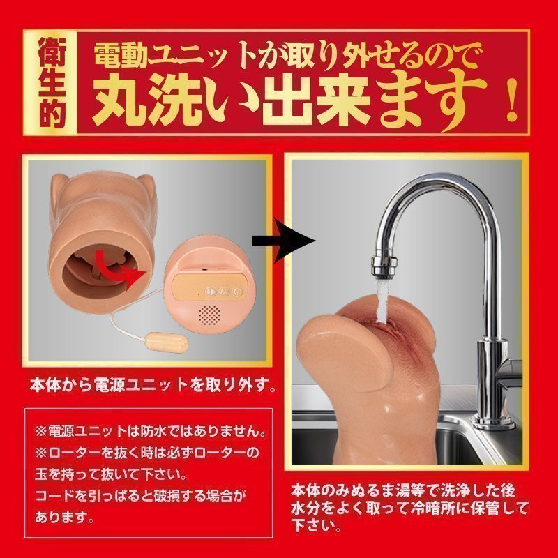 Electric Suction Meiki -- Rena Miyashita