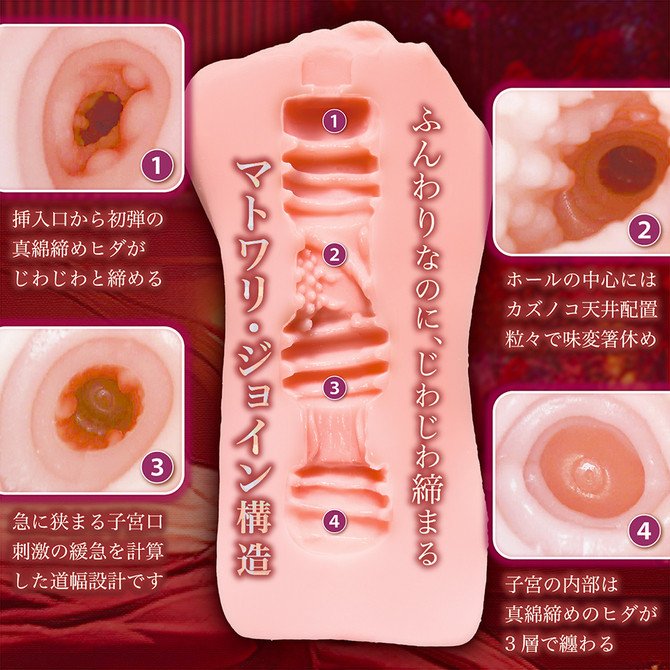 Secret Immoral -- Himegoto Inmoral