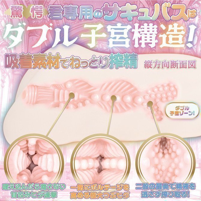 Tsubu Hida Succubus Uterus Double