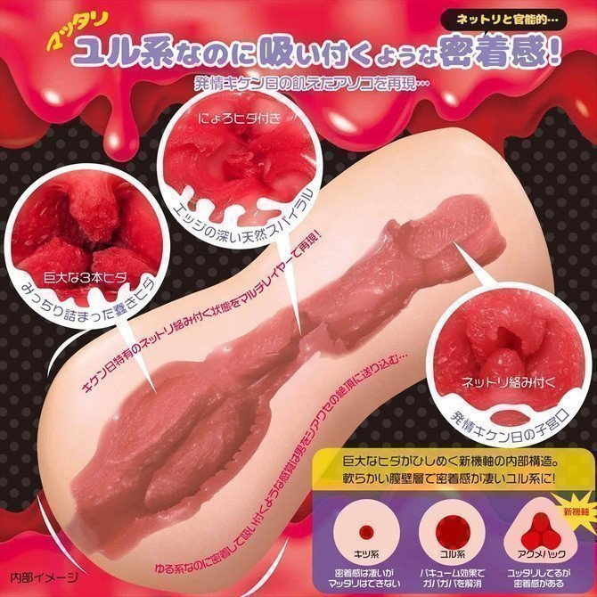 *The Last One Sale* Acme Hack ~ Nettori Fit