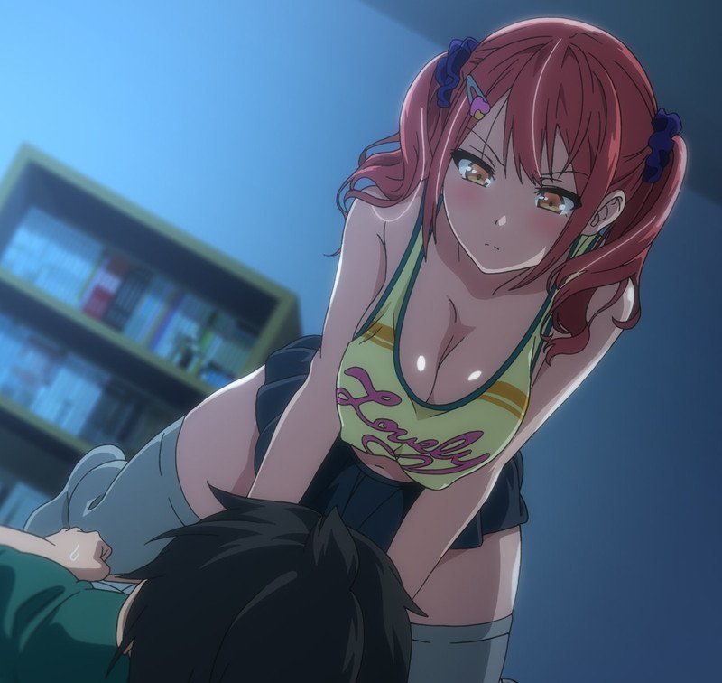 OVA Sister Breeder 2 (Region 2)