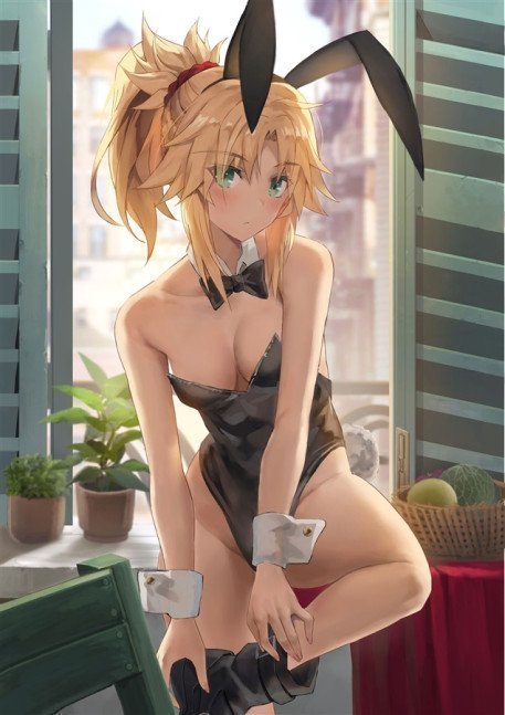 Moo Collection 5 Set