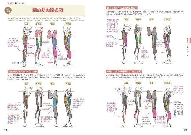Anatomical Encyclopedia of How to Draw Character's Body