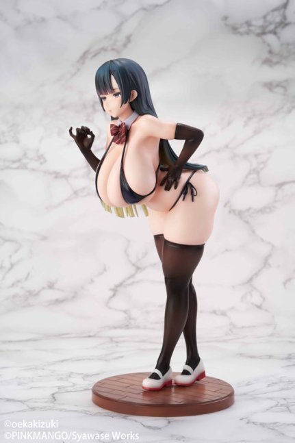 Reika Sonoda 1/6 Figure Standard Edition  Special Ver. illustration by oekakizuki