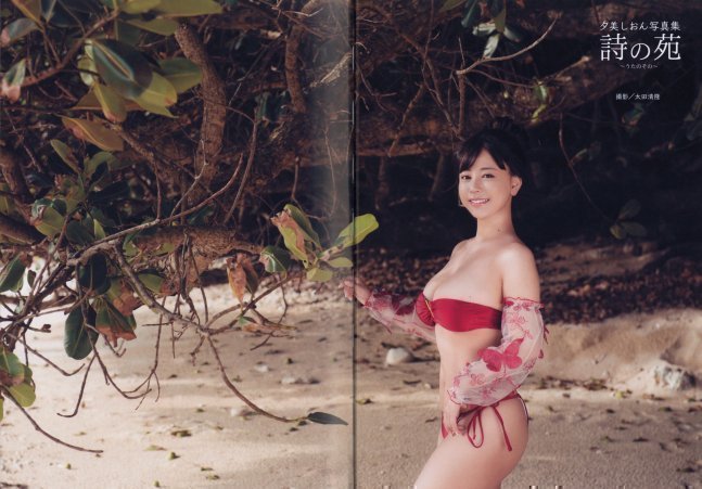 Poetry Garden -- Shion Yumi Photo Book