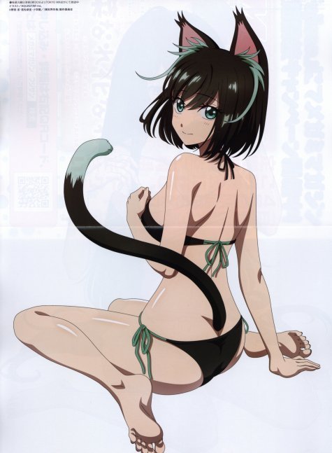 Megami Magazine October 2024