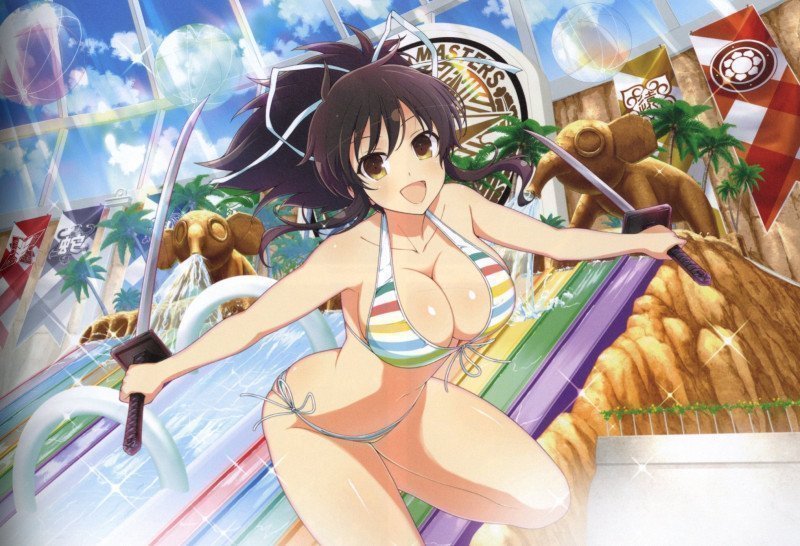 Shinobi Master Senran Kagura NEW LINK ILLUSTRATIONS BOOK [TOP]