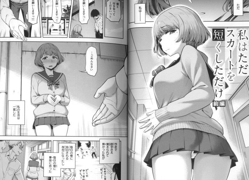 I Just Shortened The Skirt