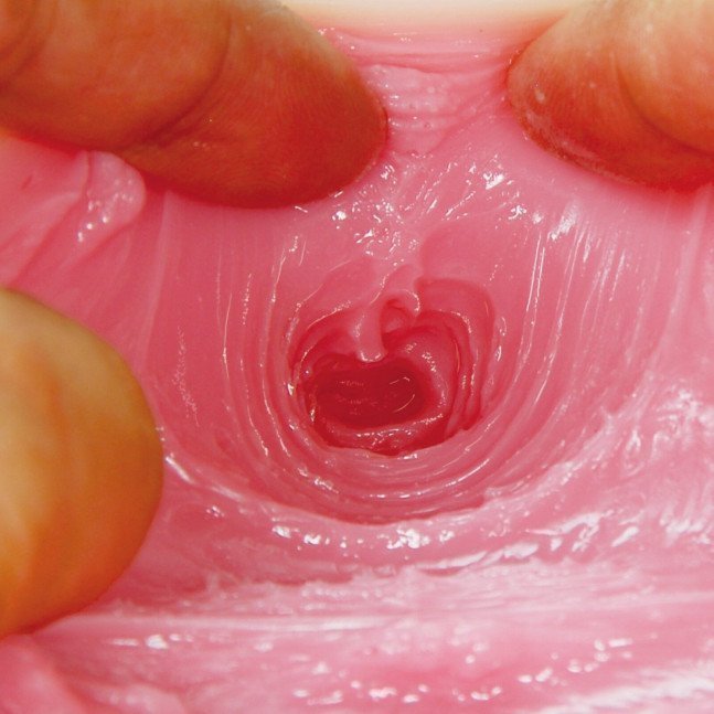 Mao Hamasaki Hole – The Dignity of Great Pussy