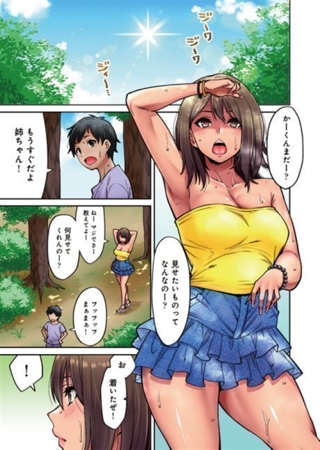 Akogareno Oneechan ga Gal ni natte Modottekita vol.2