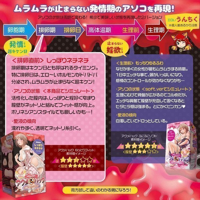 Acme Hack ~ Nettori Fit